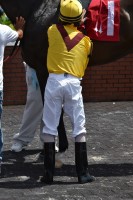jockey night pants