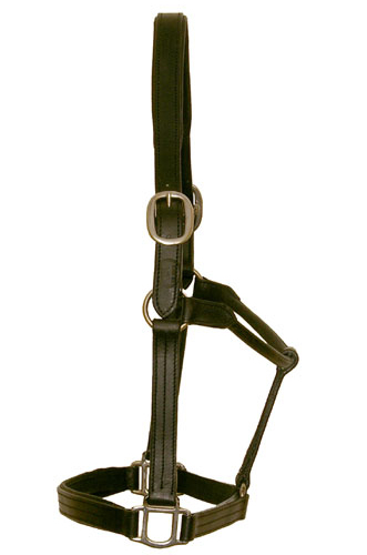 Horse Leather Halters