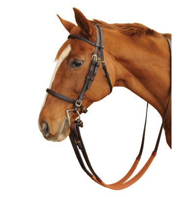 Exercise Racing Horse Saddle Leather 